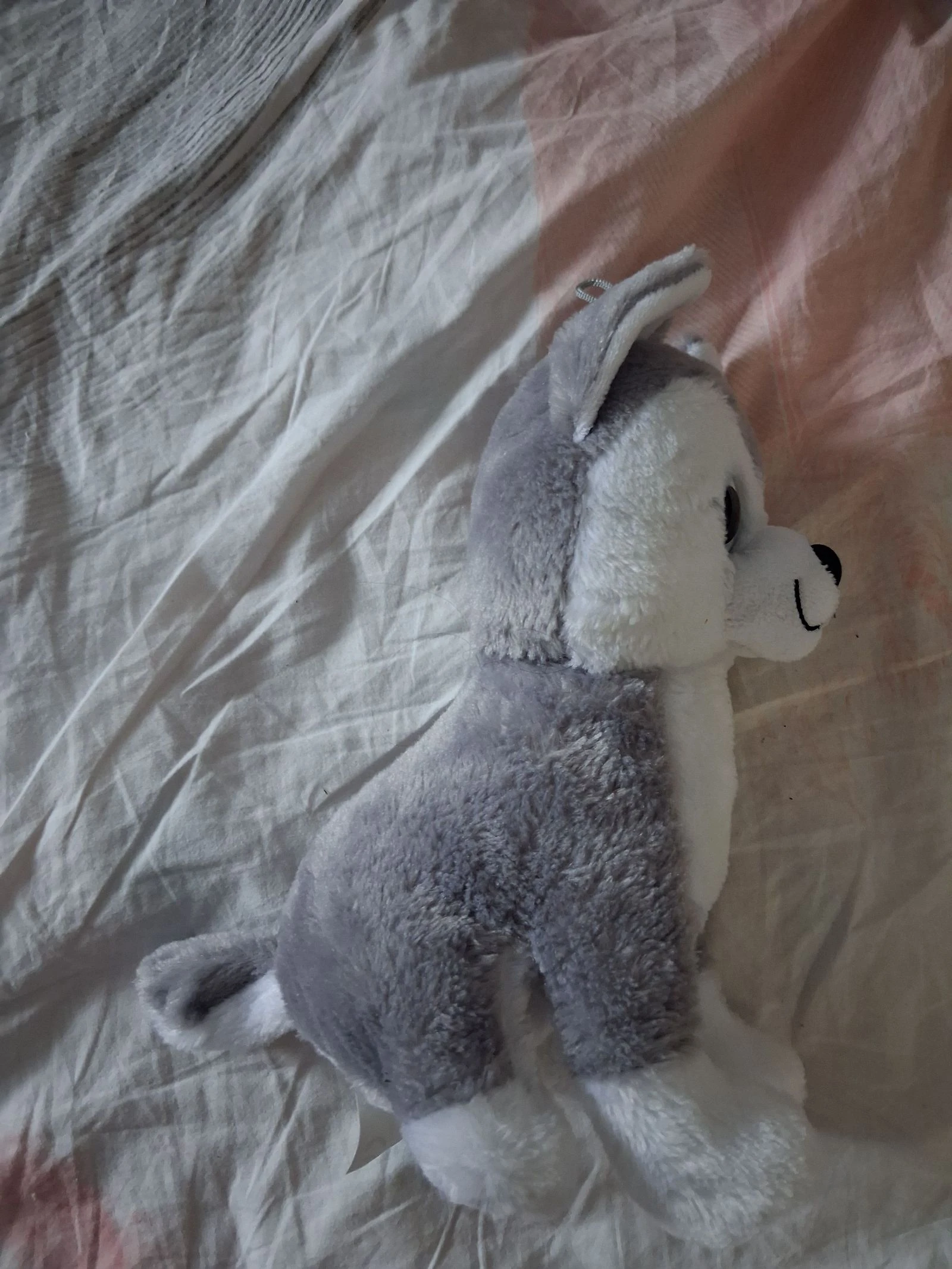 Pelúcia husky – photo 3